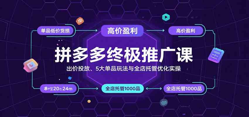 拼多多终极推广课：出价投放、5大单品玩法与全店托管优化实操-九九网创