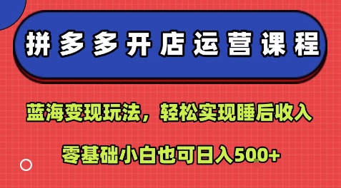 拼多多开店运营课程：蓝海变现玩法，轻松实现睡后收入，零基础小白也可日入5张-九九网创