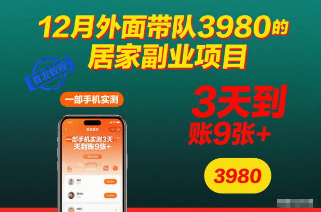 12月外面带队3980的居家副业项目，一部手机实测3天到账9张+，首发教程【揭秘】-九九网创