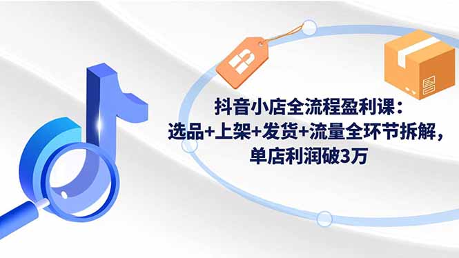 抖音小店全流程盈利课：选品+上架+发货+流量全环节拆解，单店利润破3万-九九网创