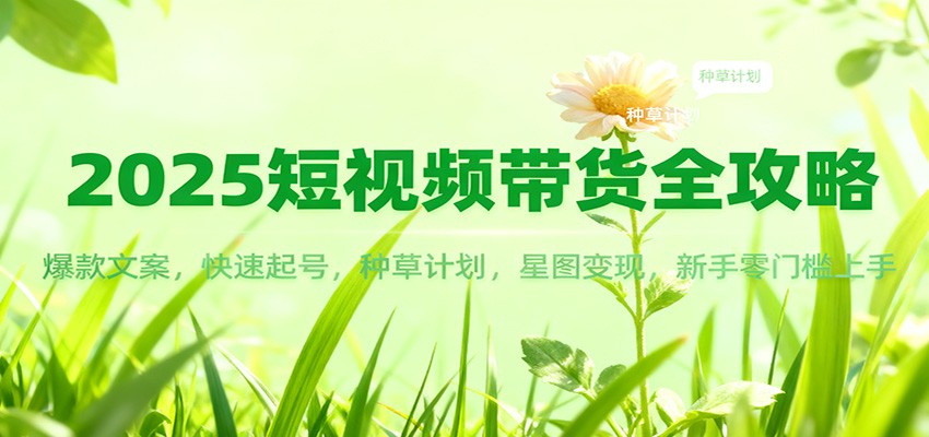 2025短视频带货全攻略：爆款文案，快速起号，种草计划，星图变现，新手零门槛上手-九九网创