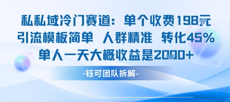 私域冷门赛道单个收费198米引流模板简单人群精准 45%的转化率单人一天大概收益多张-九九网创