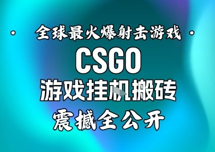 【年底大揭秘】基于全球最火爆的射击CSGO游戏挂G搬砖，日入5张+，震撼公开-九九网创