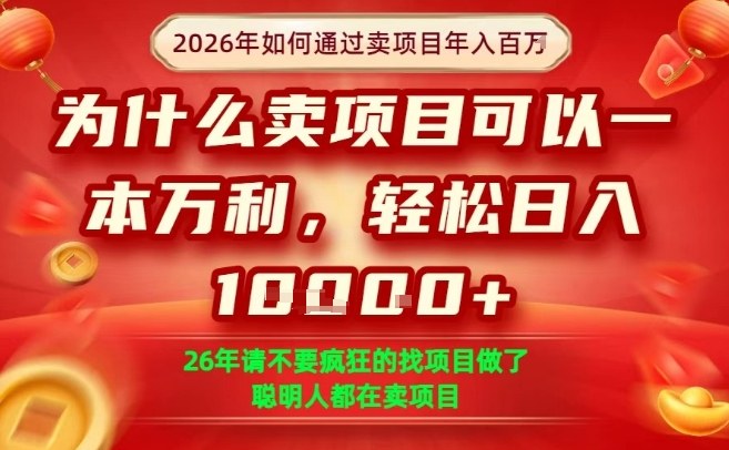 一单净利润1K+,26年想年入100个W,死磕卖项目就够了【揭秘】-九九网创