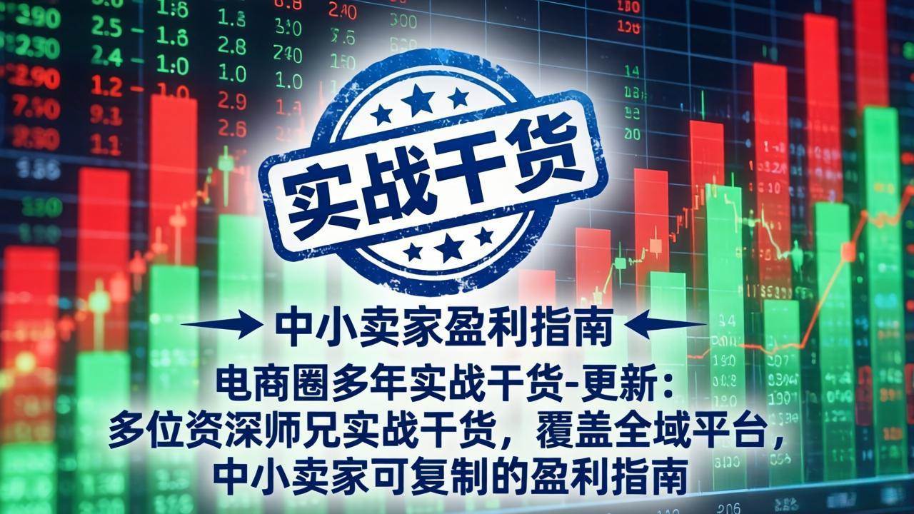 （19447期）电商圈多年实战干货-更新2026：多位资深师兄实战干货/覆盖全域平台，中小卖家可复制的盈利指南-九九网创