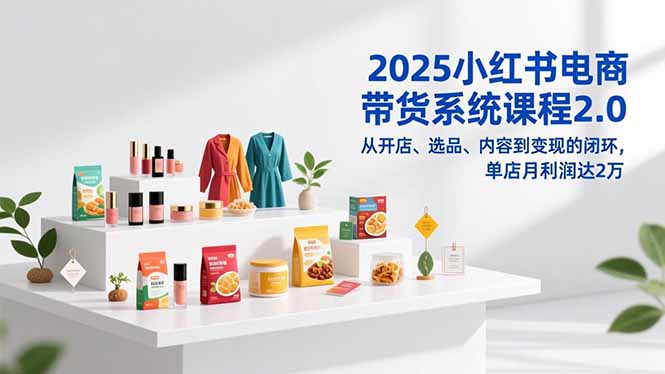 2025小红书电商带货系统课程2.0，从开店、选品、内容到变现的闭环，单店月利润达2万-九九网创