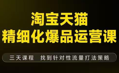 猫课子幽·淘宝天猫精细化爆品运营【音频+字幕+文档】(9月12-14杭州线下课)-九九网创