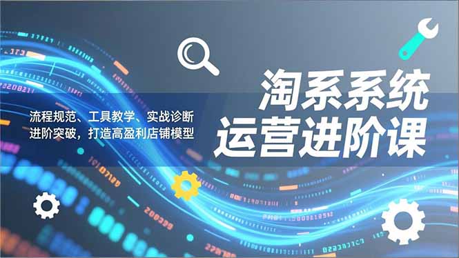 淘系系统运营进阶课2.0，流程规范、工具教学、实战诊断，进阶突破，打造高盈利店铺模型-九九网创