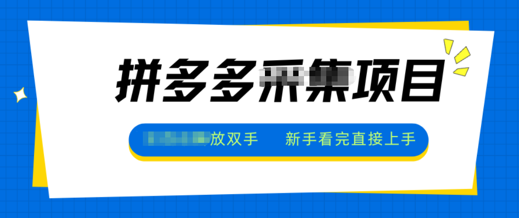 拼多多电商采集,一小时50+,操作简单,零投资-九九网创