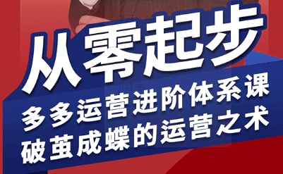 拼多多运营进阶系统课，从零起步，多多运营进阶体系课，破茧成蝶的运营之术(更新9月)-九九网创