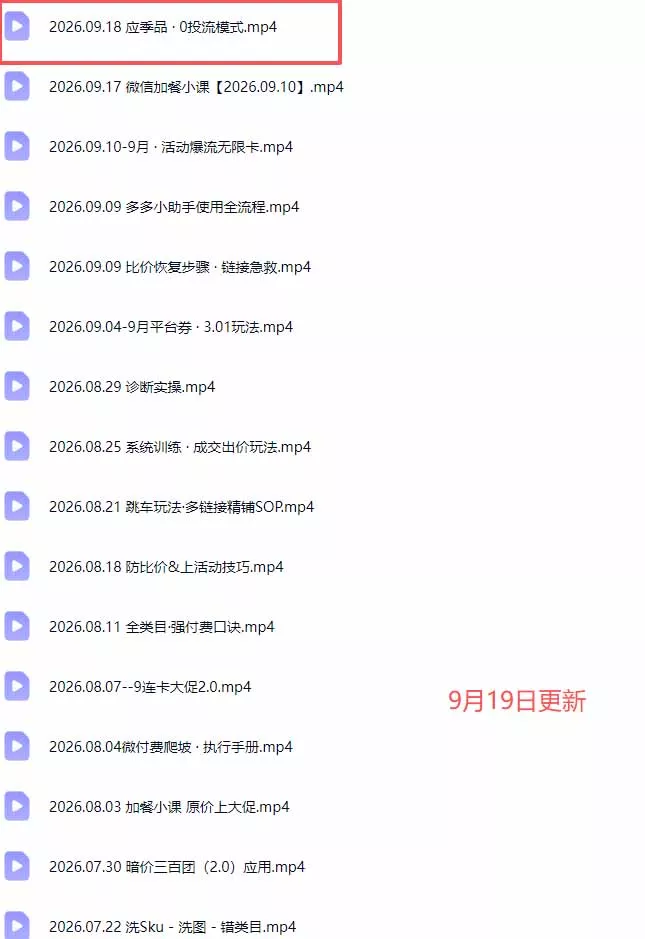 拼多多实战特训营(更新0920-九九网创