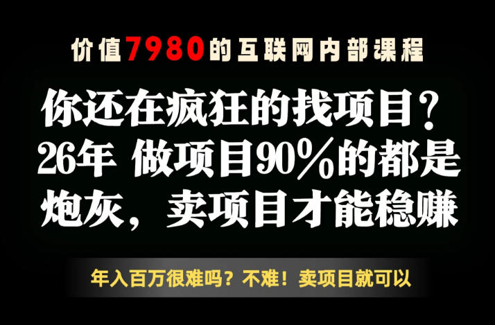 26年请不要疯狂的找项目了，卖项目远比你想象的暴利，你也可以月入10W+【揭秘】-九九网创