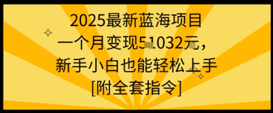 2025最新蓝海项目一个月变现1w+新手小白也能轻松上手【附全套指令】-九九网创
