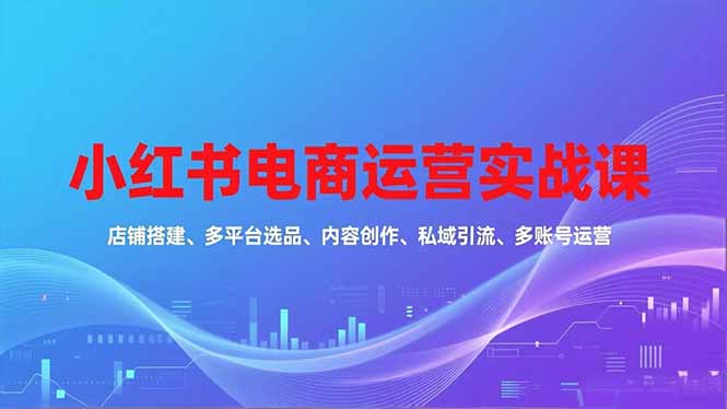 小红书电商运营实战课，店铺搭建、多平台选品、内容创作、私域引流、多账号运营等玩法-九九网创