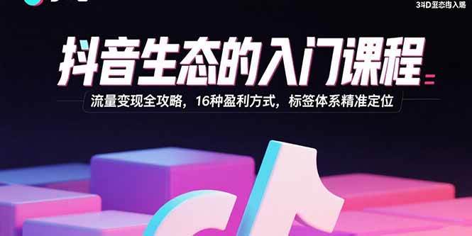 （15856期）抖音生态的入门课程：流量变现全攻略，16种盈利方式，标签体系精准定位-九九网创