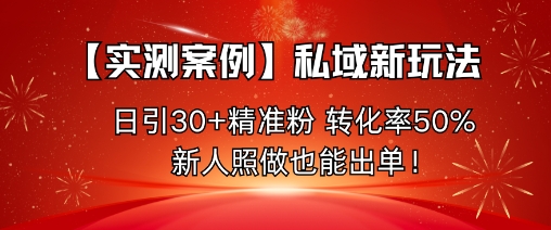 【实测案例】私域新玩法，日引30+精准粉，转化率50%，新人照做也能出单！-九九网创