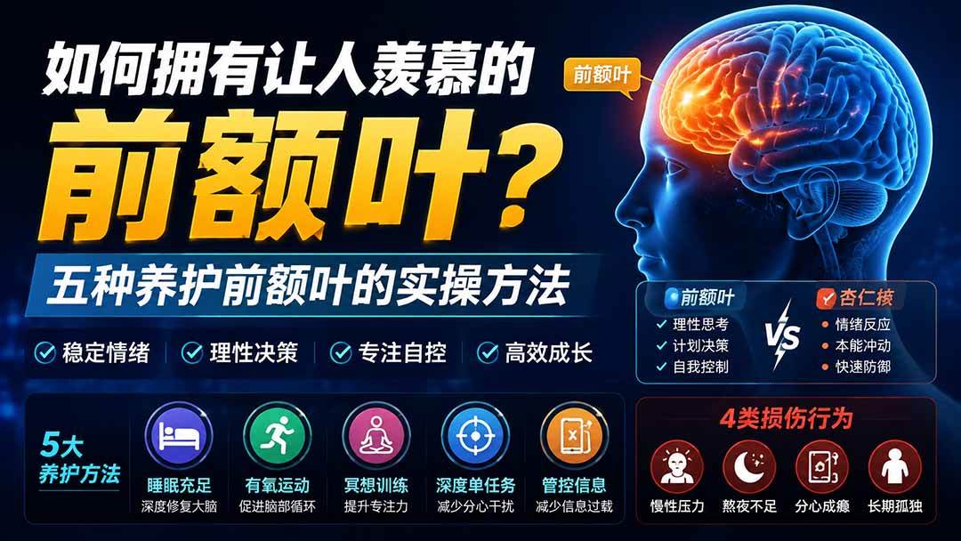 （19805期）付费文章：如何拥有让人羡慕的前额叶？五种养护前额叶的实操方法-九九网创