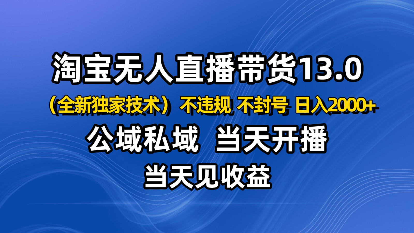 淘宝无人直播13.0，公域私域技术，不封号，不违规 布局下半年旺季赛道，日入2000+-九九网创