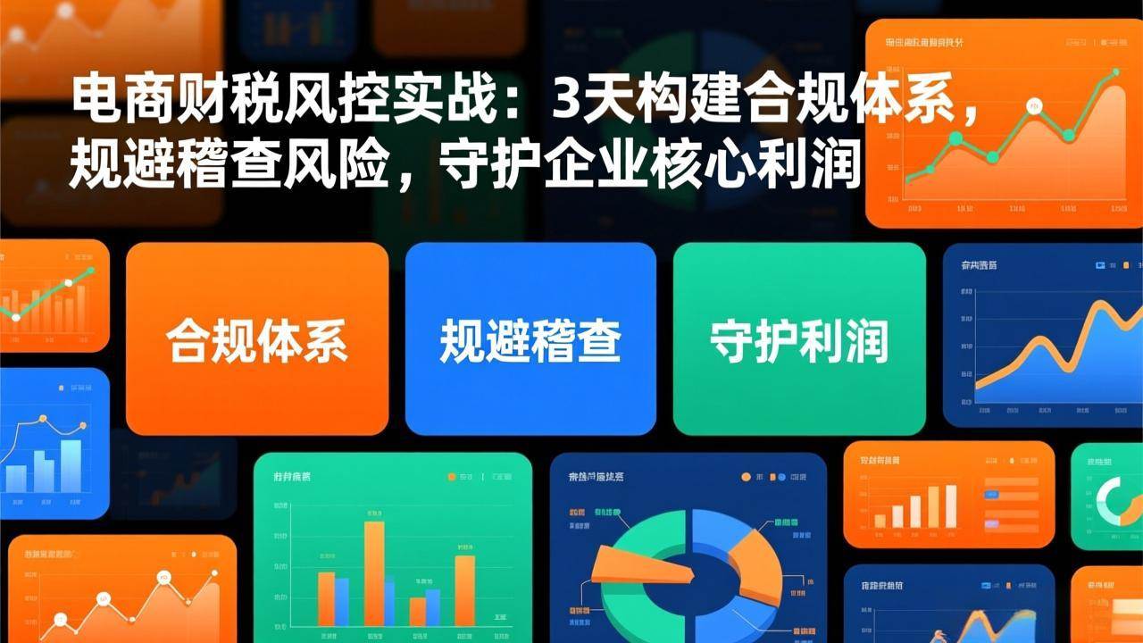 （17197期）电商财税风控实战：3天构建合规体系，规避稽查风险，守护企业核心利润-九九网创