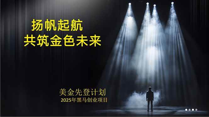 （15748期）美金对冲创业项目，日收益1000-3000，小众暴力项目稳定运行8年-九九网创