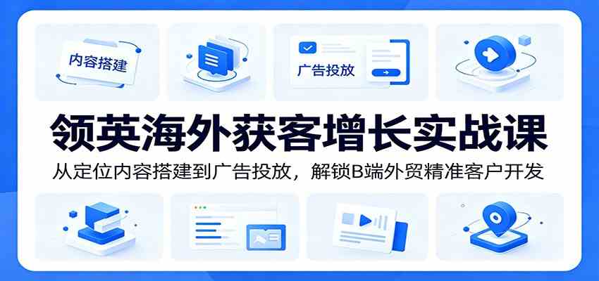 领英海外获客增长实战课：从定位内容搭建到广告投放，解锁B端外贸精准客户开发-九九网创