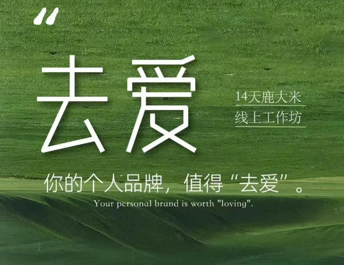 去爱14天鹿大米线上工作坊，你的个人品牌，值得“去爱”-九九网创