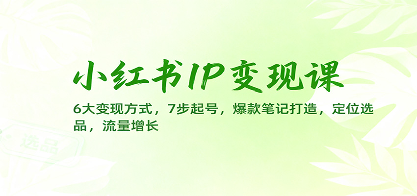 小红书IP变现课：6大变现方式，7步起号，爆款笔记打造，定位选品，流量增长-九九网创