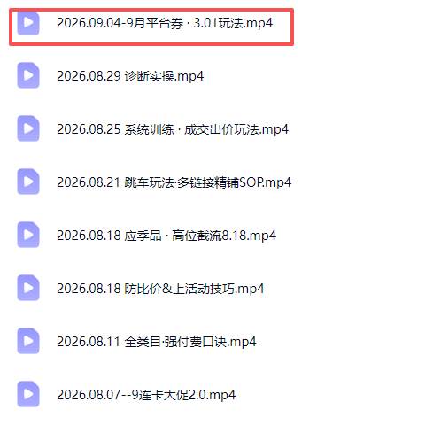 （20280期）拼多多实战特训营(更新26年9月)：不管是新手入门或老商家冲量，都有实操方法，跟着学，少走弯路-九九网创