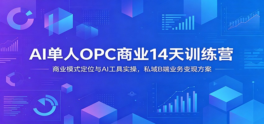 AI单人OPC商业14天训练营：商业模式定位与AI工具实操，私域B端业务变现方案-九九网创