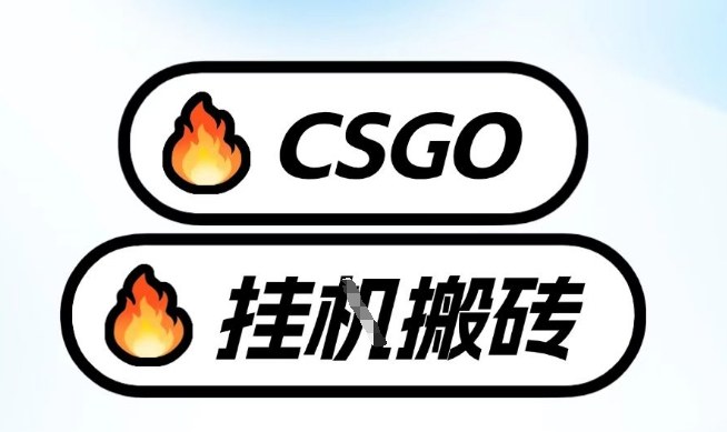 真全网独家CSGO挂G，最新玩法,单日捡漏1K+，不用电脑，不用打游戏【揭秘】-九九网创