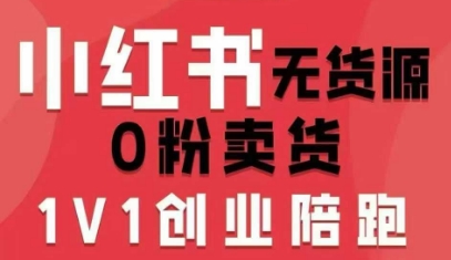 小红书无货源0粉电商课，开店准备、选品策略、笔记撰写、视频剪辑、数据分析、账号打造、资料文档(更新26年3月)-九九网创