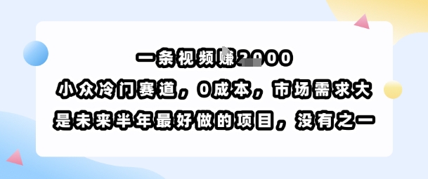 一条视频挣1k，小众冷门赛道，0成本，市场需求大，是未来半年最好做的项目，没有之一-九九网创