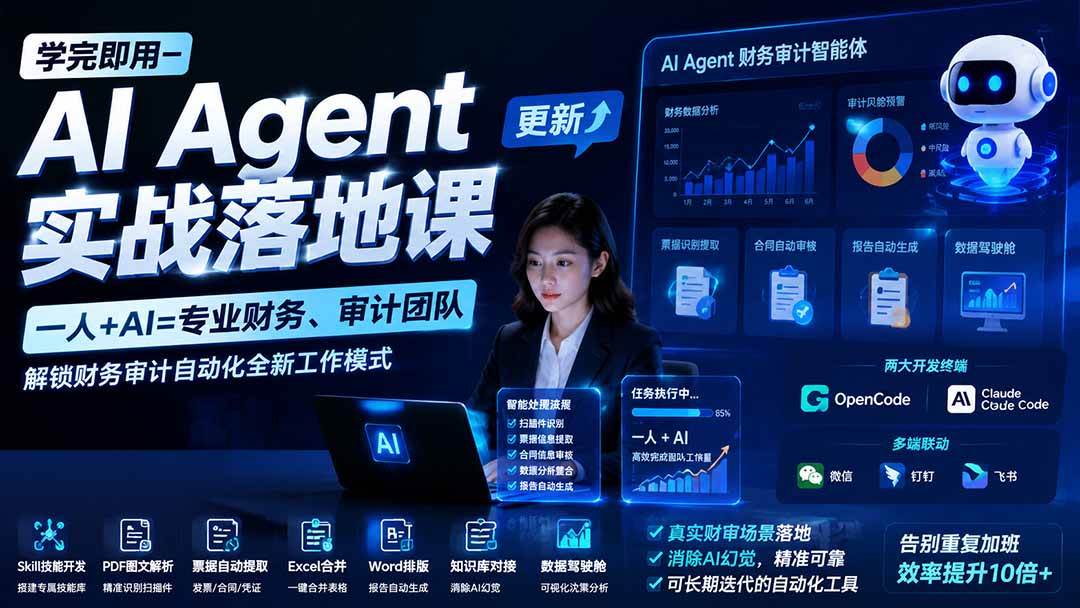 （20625期）【无水印】学完 即用-AI Agent实操落地课-更新0924：一人 + AI=专业财务、审计团队，解锁财务审计自动化全新工作模式-九九网创