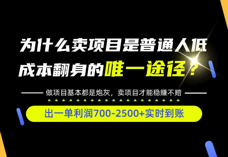 普通人如何靠互联网賺取自己的第一桶金！全类目实操型教学，看完你全都懂了！【揭秘】-九九网创