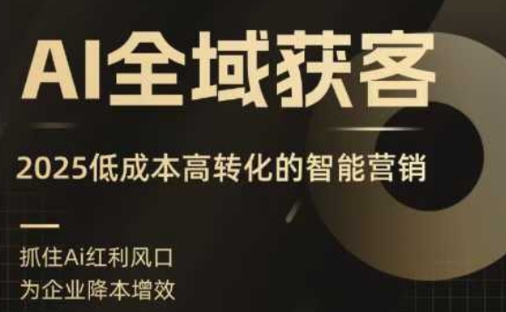 AI全域获客实训营，2025低成本高转化的智能营销，精准找客，高效营销-九九网创