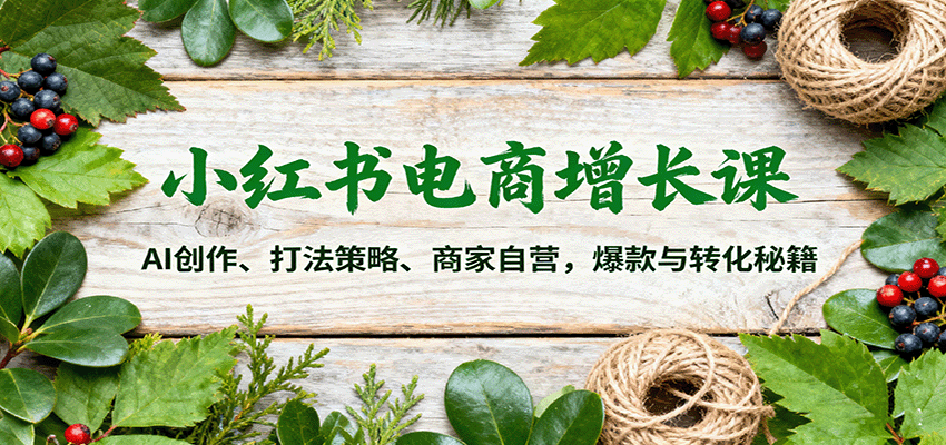 小红书电商增长课：AI创作、打法策略、商家自营，爆款与转化秘籍-九九网创