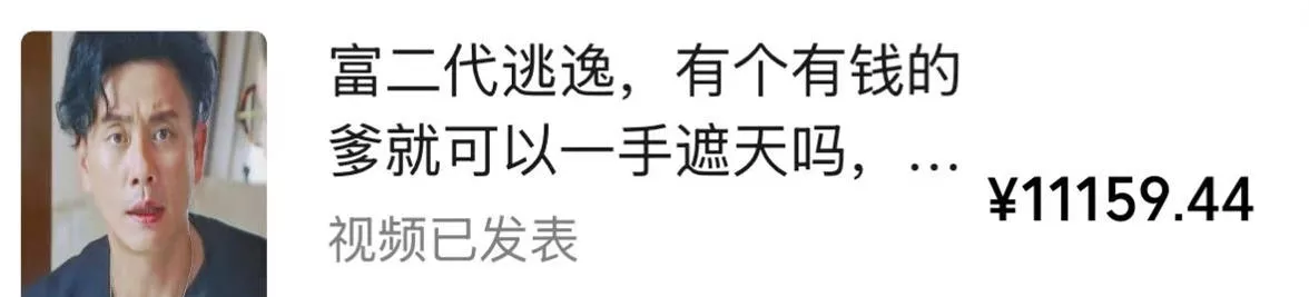 视频号某大佬的影视搬运教学，纯手法操作，可以多个平台可以发布，撸分成计划+伙伴计划+光合计划收益等-九九网创