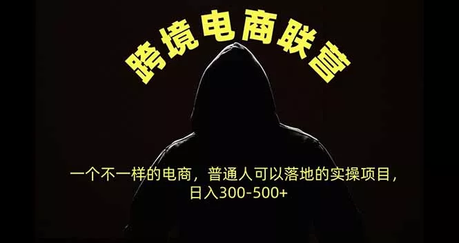 跨境电商联营，一个不一样的电商，普通人可操作日入300-500+-九九网创