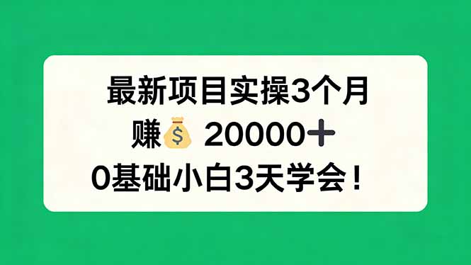 最新项目实操3个月，赚钱20000+，0基础小白3天学会！-九九网创