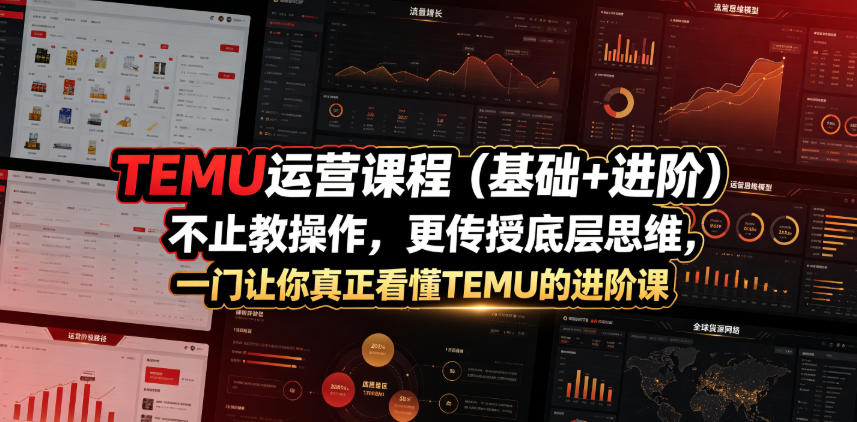 TEMU运营课程（基础+进阶），不止教操作，更传授底层思维，一门让你真正看懂TEMU的进阶课-九九网创